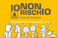 Incendi boschivi, tutto quello che c'è da sapere