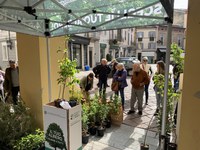 ‘Mettiamo radici per il futuro’: riparte la distribuzione gratuita di alberi da piantare in Emilia-Romagna