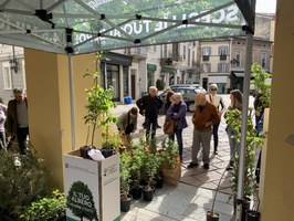‘Mettiamo radici per il futuro’: riparte la distribuzione gratuita di alberi da piantare in Emilia-Romagna