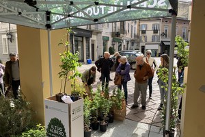 ‘Mettiamo radici per il futuro’: riparte la distribuzione gratuita di alberi da piantare in Emilia-Romagna