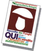 Funghi, le regole per la raccolta
