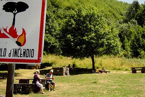 Incendi boschivi, prorogata la fase di preallarme fino al 16 agosto