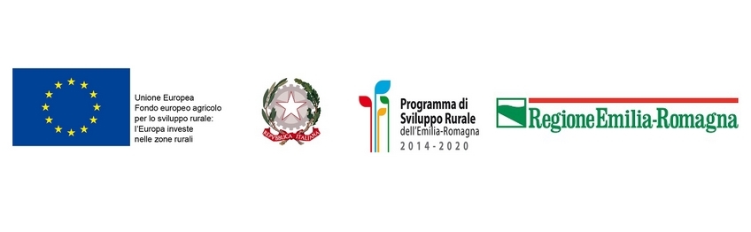 Testata per sito Unione.jpg